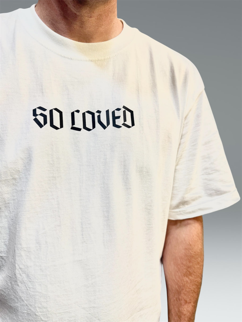 1 KINGS 3:13 SIMPLE BIBLE VERSE CHRISTIAN MERCH HEAVYWEIGHT TEE